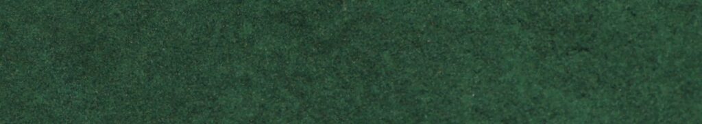 Goldfischfutter Spirulina