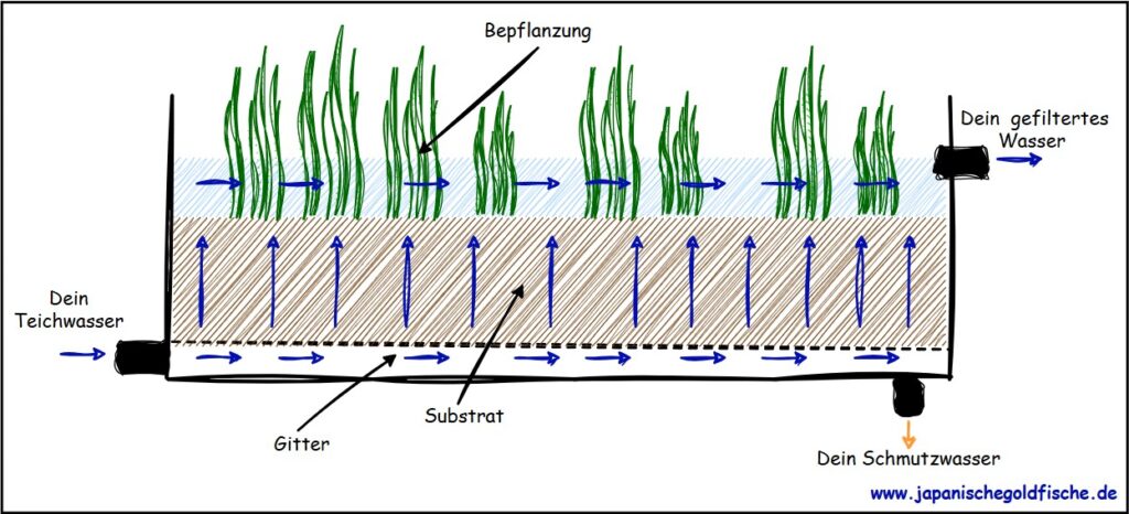 Pflanzenfilter von unten nach oben durchströmt