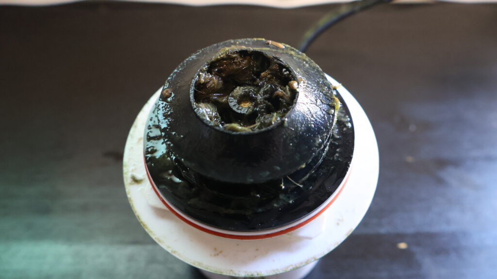 Gartenteich im Herbst: Verschmutzte Pumpe