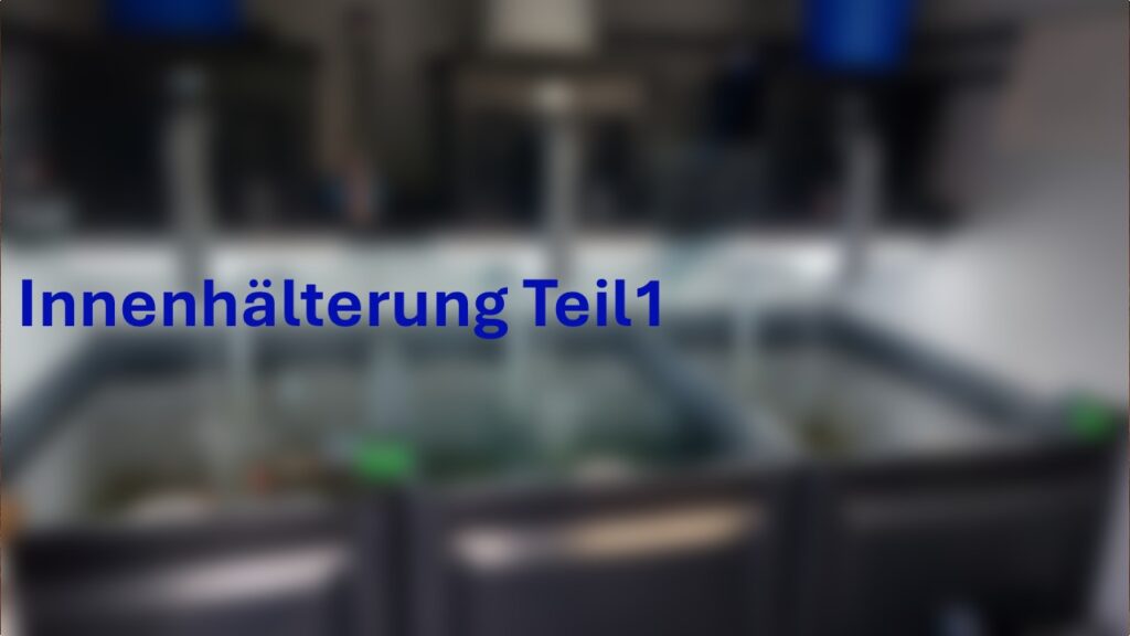 Vorschaubild: Innenhälterung