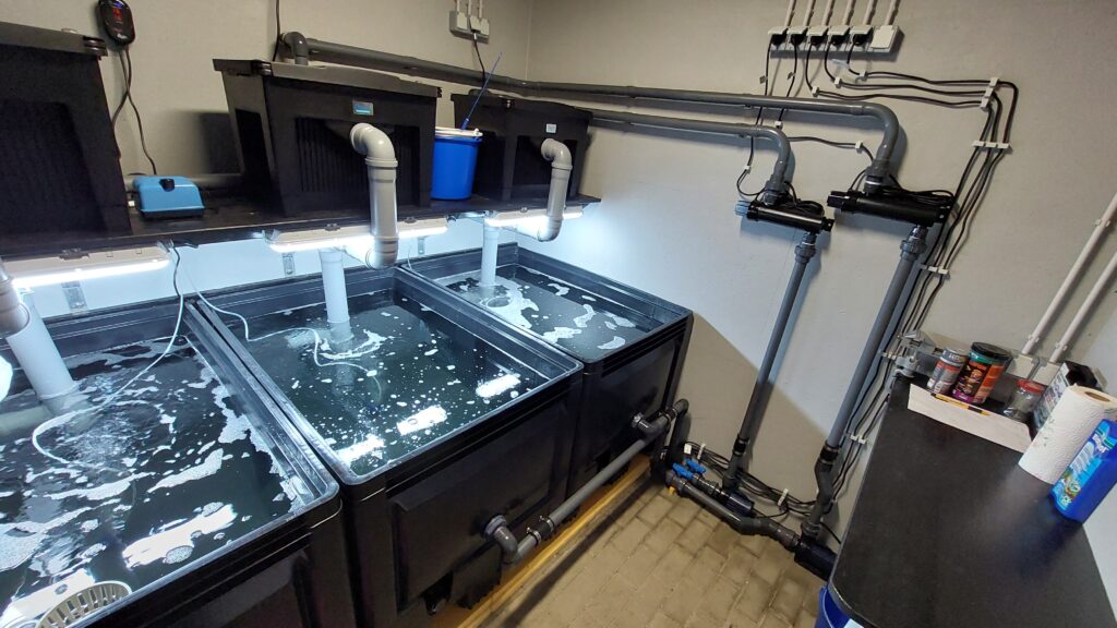 Innenhälterung: Vollständig