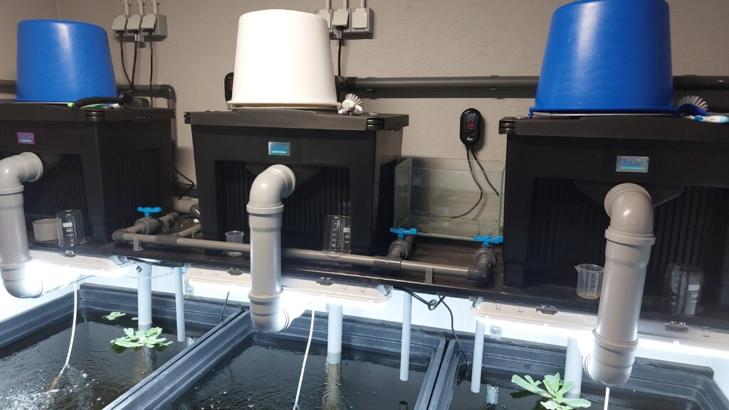 Innenhälterung: Wasserleitung