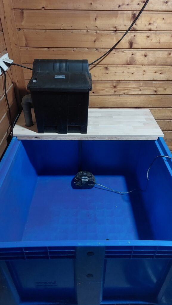 Upgrade Hälterungsbecken: Trockenlauf