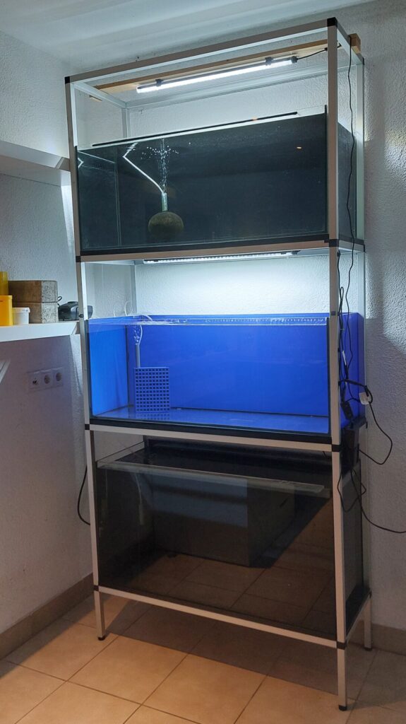 Aufzuchtaquarium ganzer Block