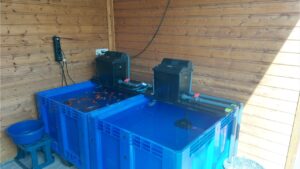 Vorschau_Update_Becken